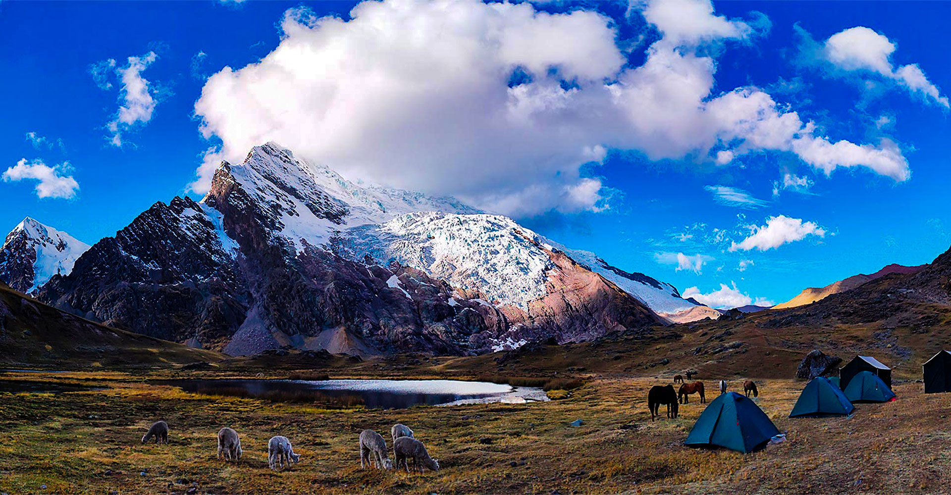 Ausangate: Beaiful animals live here