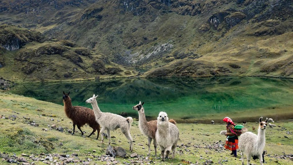 Lares trek 
