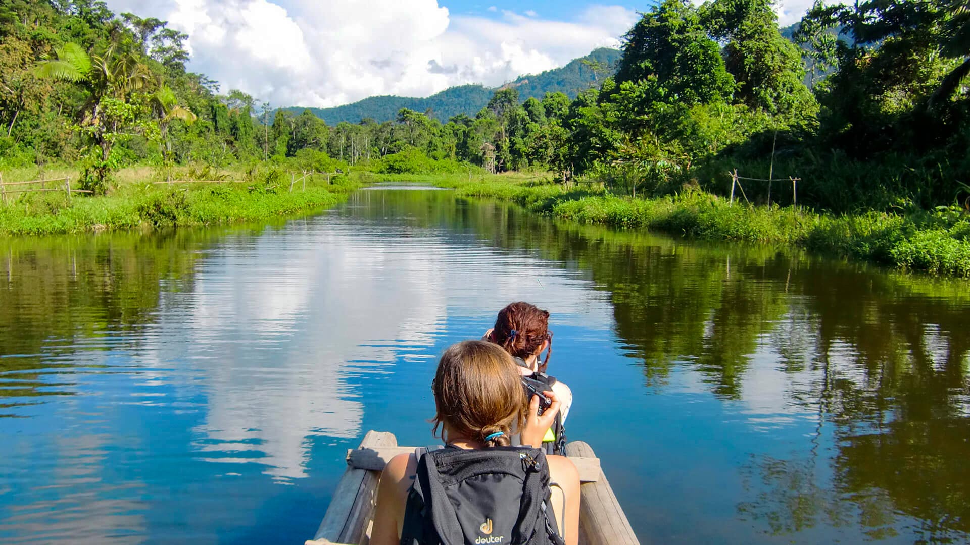 Manu nacional park: It is known for its rich biodiversity