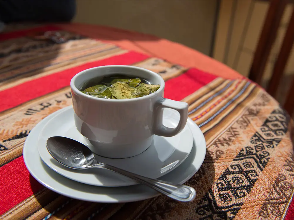 Drink Coca tea 