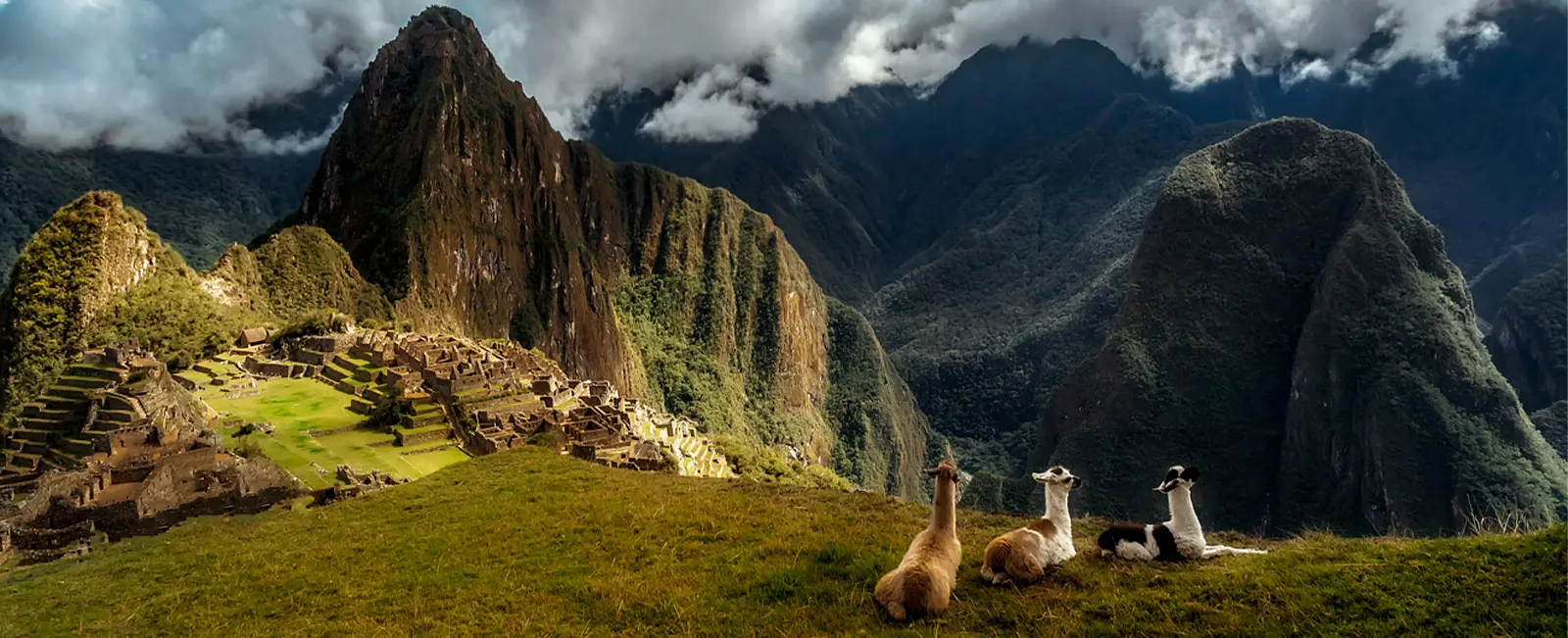 Machu Picchu