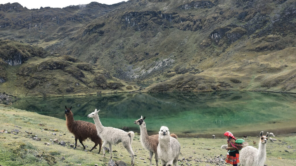 Lares trek: Alternative trek to Machu Picchu